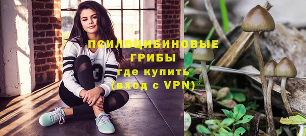 первитин Алексеевка
